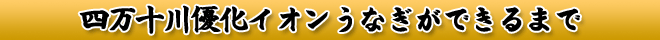 四万十優化イオンうなぎができるまで