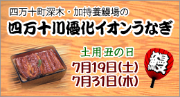 四万十川優化イオンうなぎ