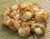 ⑨帆立ひも付きボイル