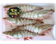 ⑭有頭えび(特大)