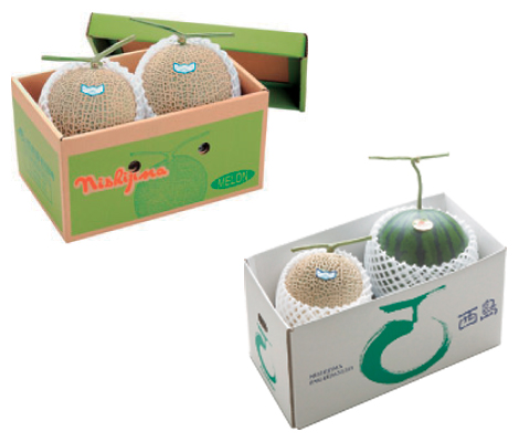 西島園芸団地のメロン・スイカ