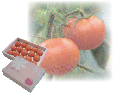 シュガートマト